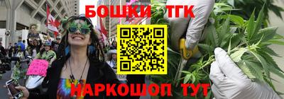 дурь Сланцы
