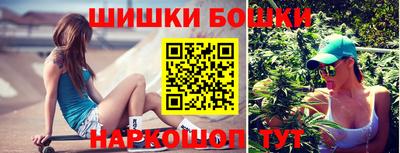 дурь Сланцы