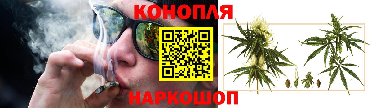 Конопля сатива Брянск